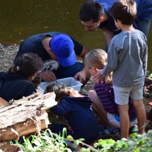 Autor Ferran Sarrió_DSC_0805