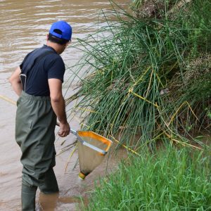 Autor Ferran Sarrió_DSC_0841