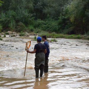 Autor Ferran Sarrió_DSC_0846