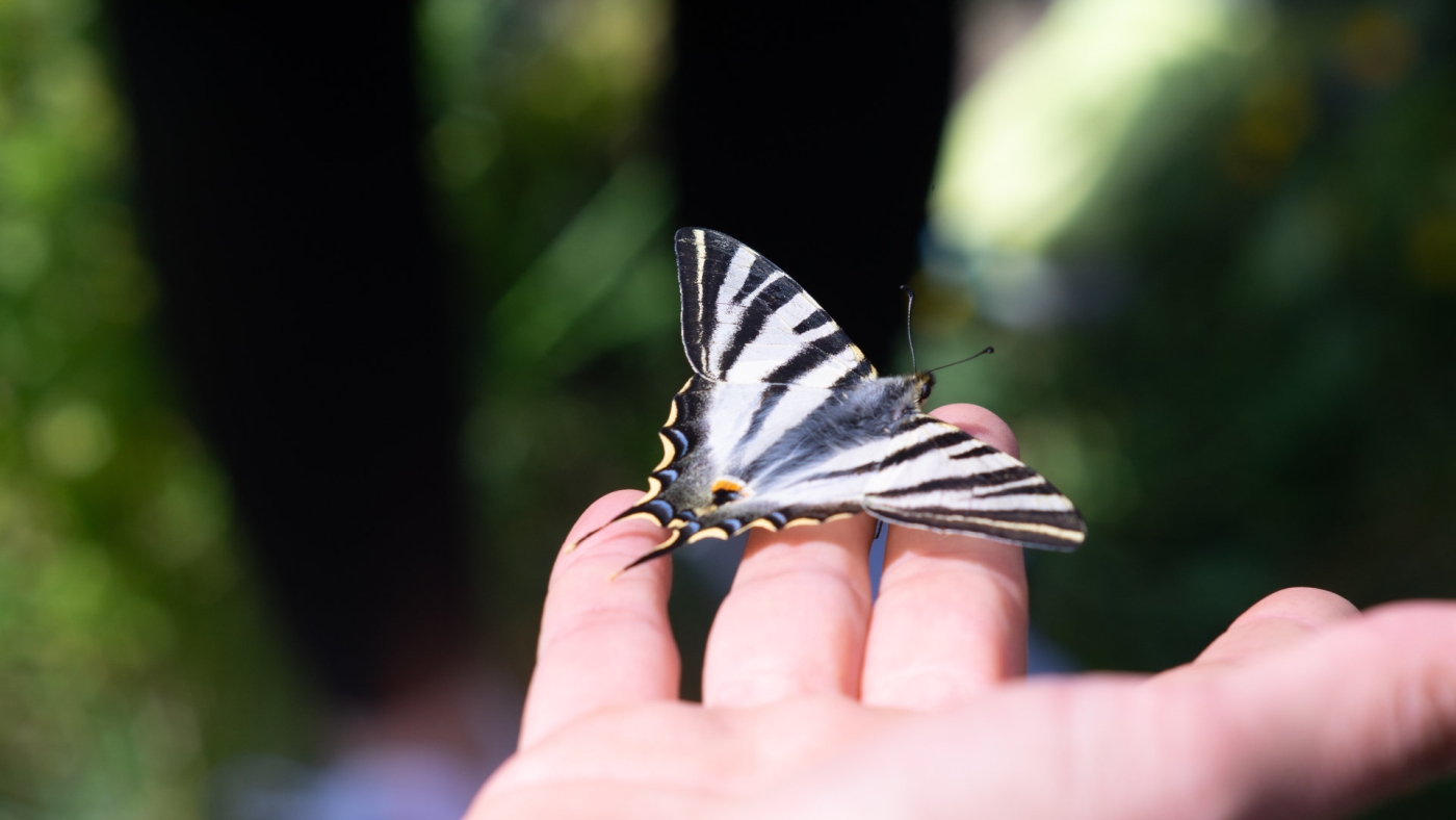 w G_Portabella DSC03445