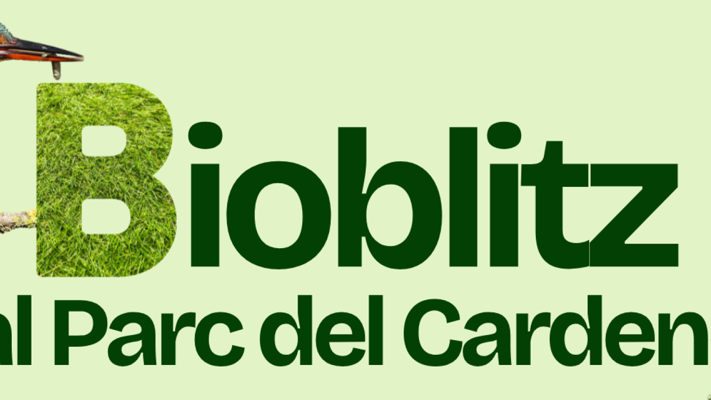 Bioblitz-cartell-1