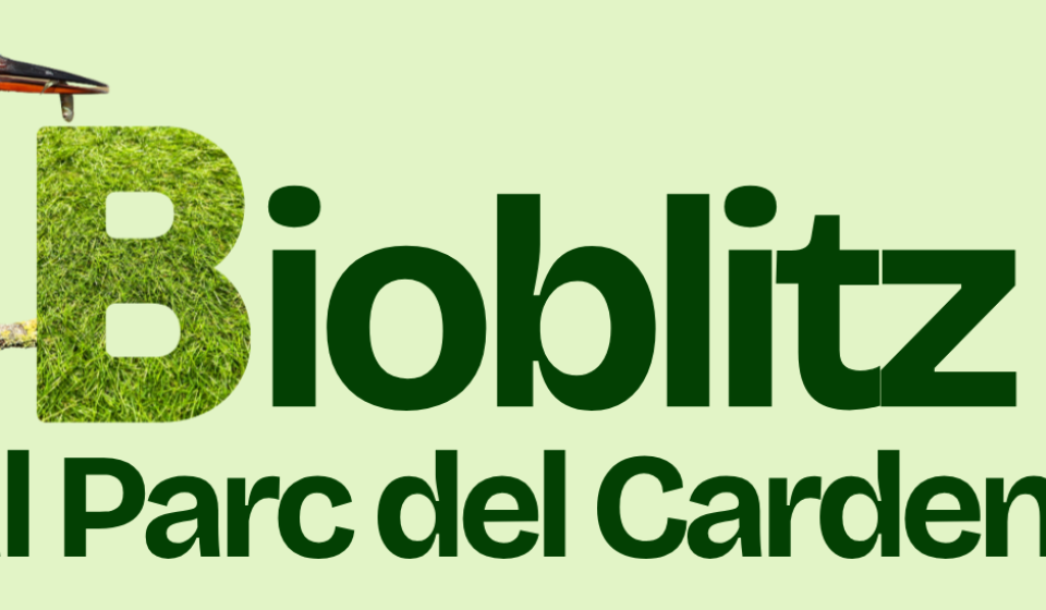 Bioblitz-cartell-1